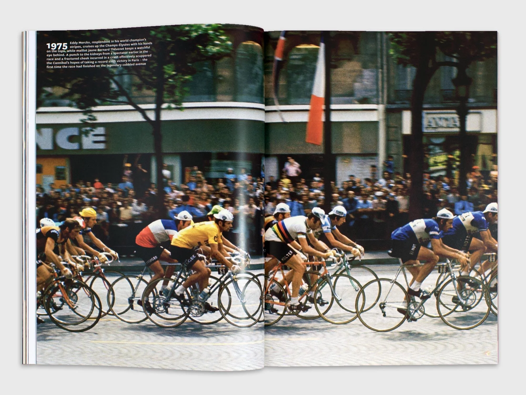 Archive Issue 17.5 - Member Edition - Image 10