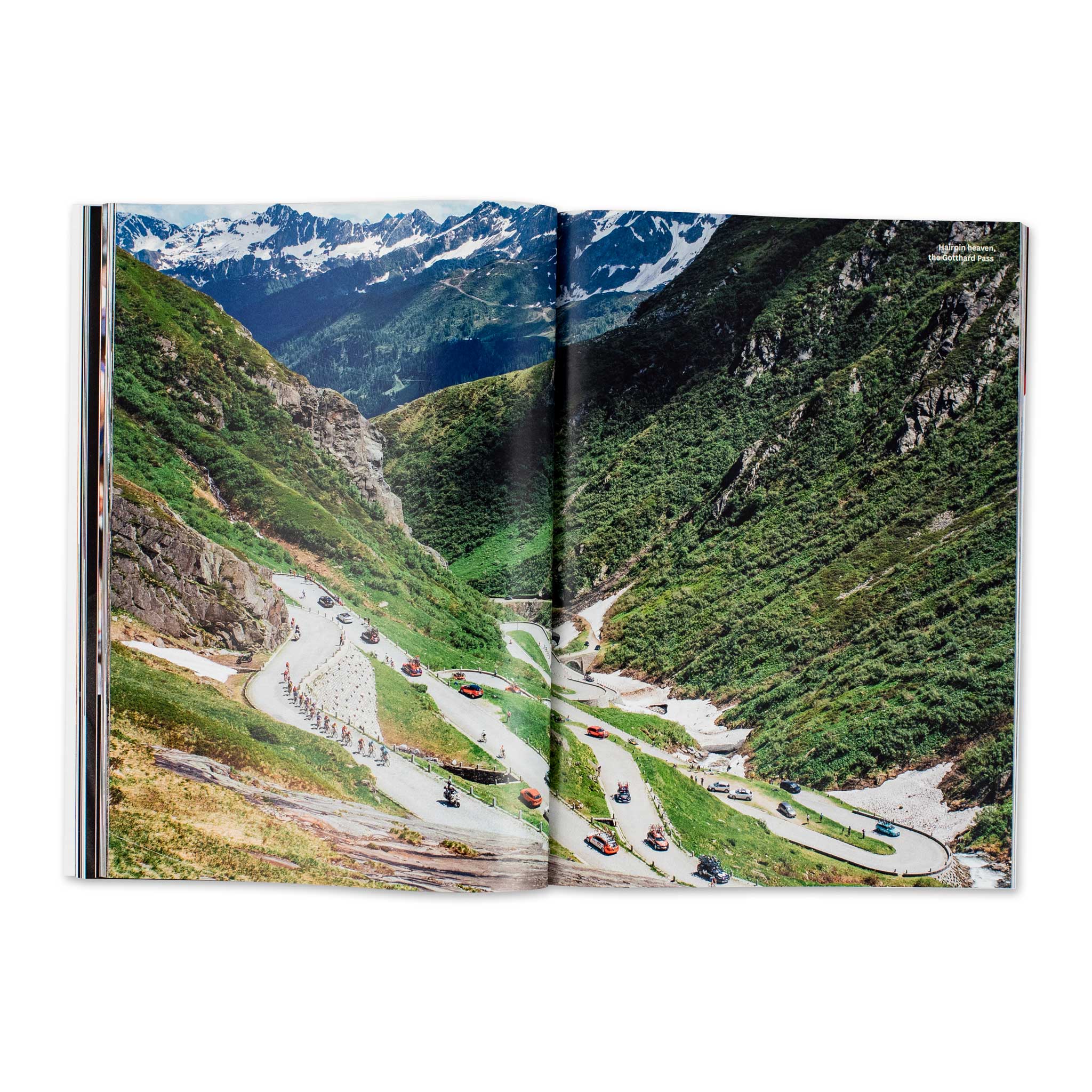 Issue 19.8 - Image 7
