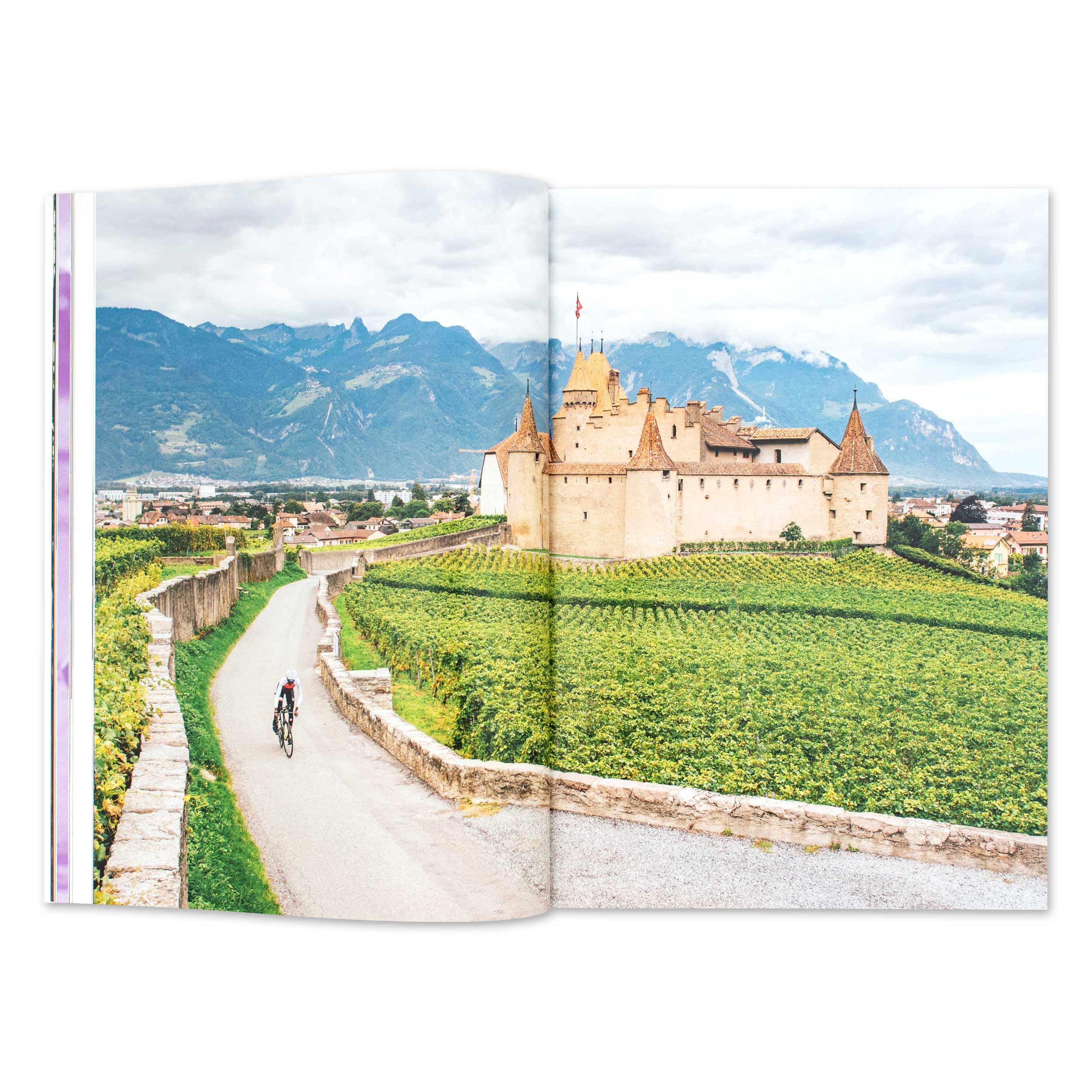 Issue 20.4 - Image 6